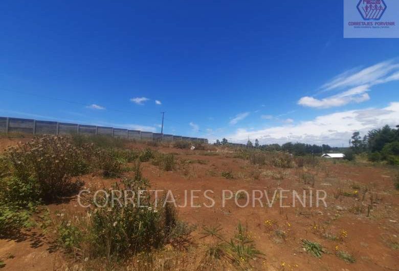 Vendemos campo sector Radal -Cunco