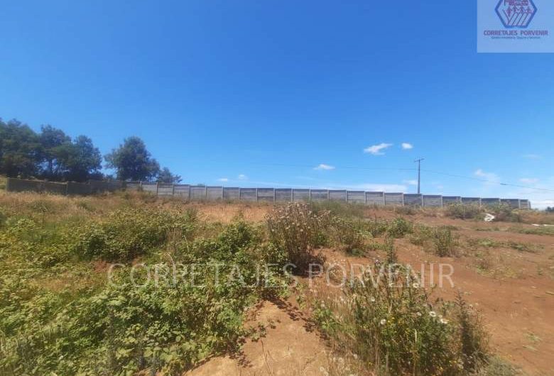 Vendemos campo sector Radal -Cunco