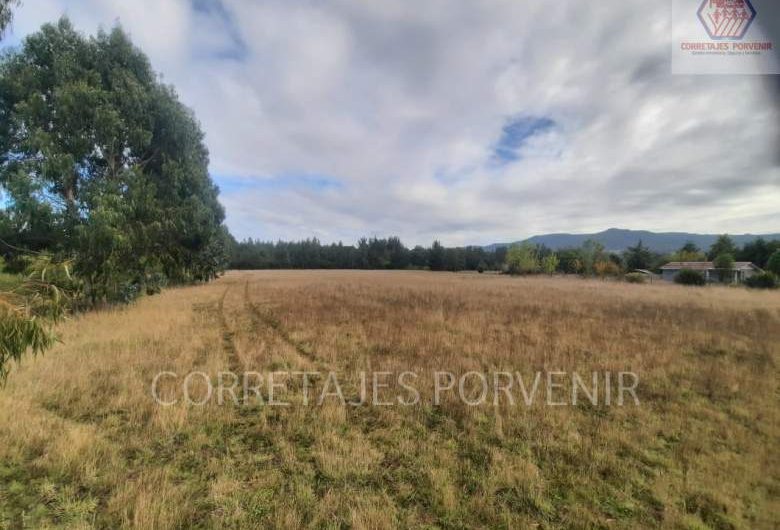 Vendemos campo sector Radal -Cunco