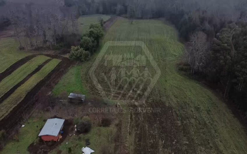 VENDE PARCELA DE 3 HECTAREAS CAMINO VILCUN CON LAUTARO