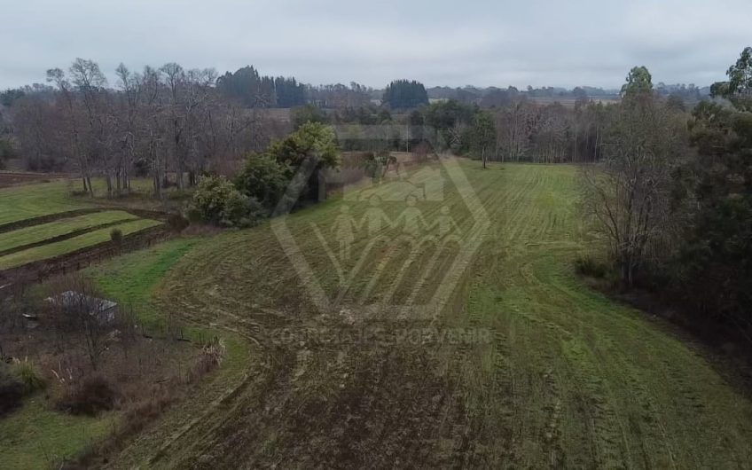 VENDE PARCELA DE 3 HECTAREAS CAMINO VILCUN CON LAUTARO