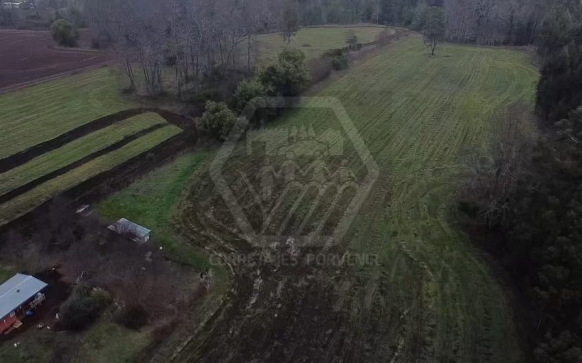 VENDE PARCELA DE 3 HECTAREAS CAMINO VILCUN CON LAUTARO