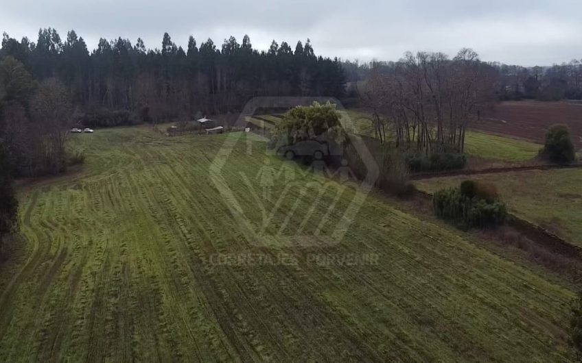 VENDE PARCELA DE 3 HECTAREAS CAMINO VILCUN CON LAUTARO