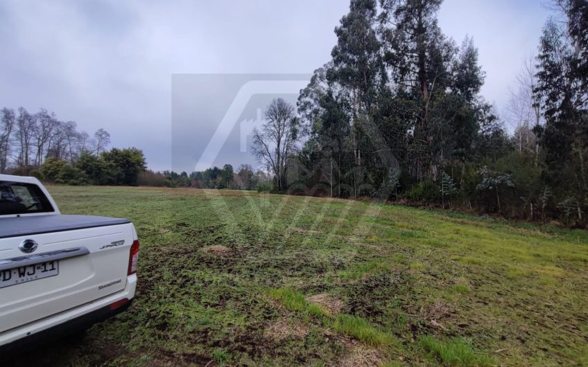 VENDE PARCELA DE 3 HECTAREAS CAMINO VILCUN CON LAUTARO