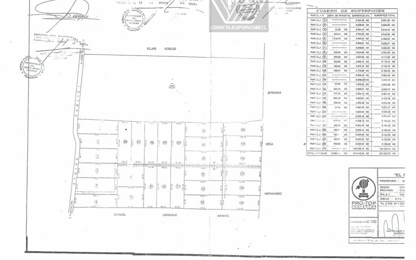 SE VENDE PARCELA SECTOR MOLCO CAMINO VILLARRICA PUCON NO DISPONIBLE