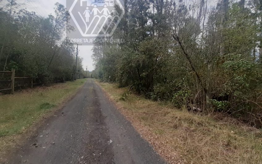 SE VENDE PARCELA SECTOR MOLCO CAMINO VILLARRICA PUCON NO DISPONIBLE