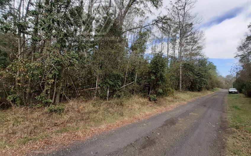 SE VENDE PARCELA SECTOR MOLCO CAMINO VILLARRICA PUCON NO DISPONIBLE