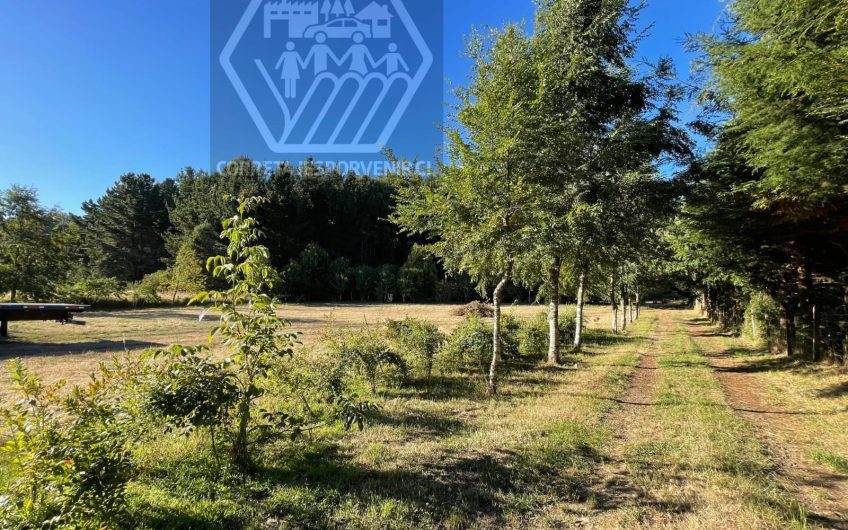 HERMOSA PARCELA DE 1HA EN VENTA A 11KM DE QUEPE