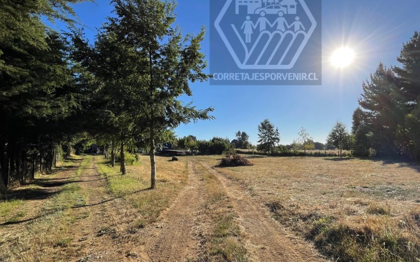 HERMOSA PARCELA DE 1HA EN VENTA A 11KM DE QUEPE