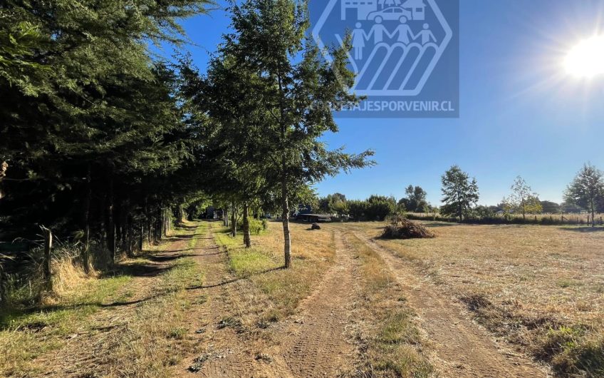 HERMOSA PARCELA DE 1HA EN VENTA A 11KM DE QUEPE