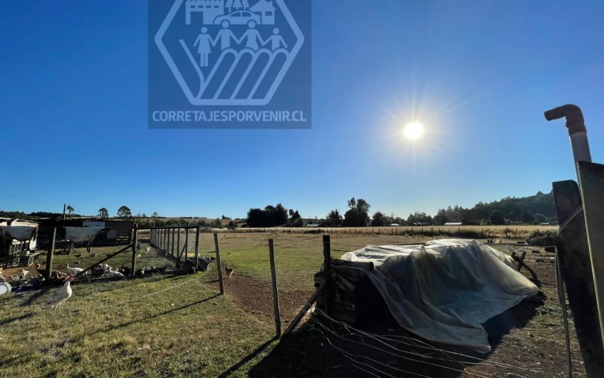 HERMOSA PARCELA DE 1HA EN VENTA A 11KM DE QUEPE