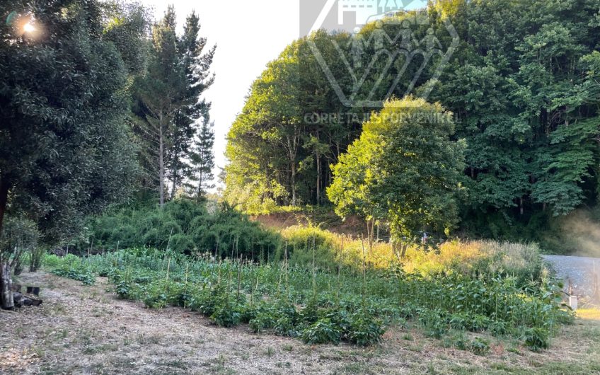 HERMOSA PARCELA DE 1HA EN VENTA A 11KM DE QUEPE