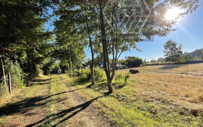 HERMOSA PARCELA DE 1HA EN VENTA A 11KM DE QUEPE